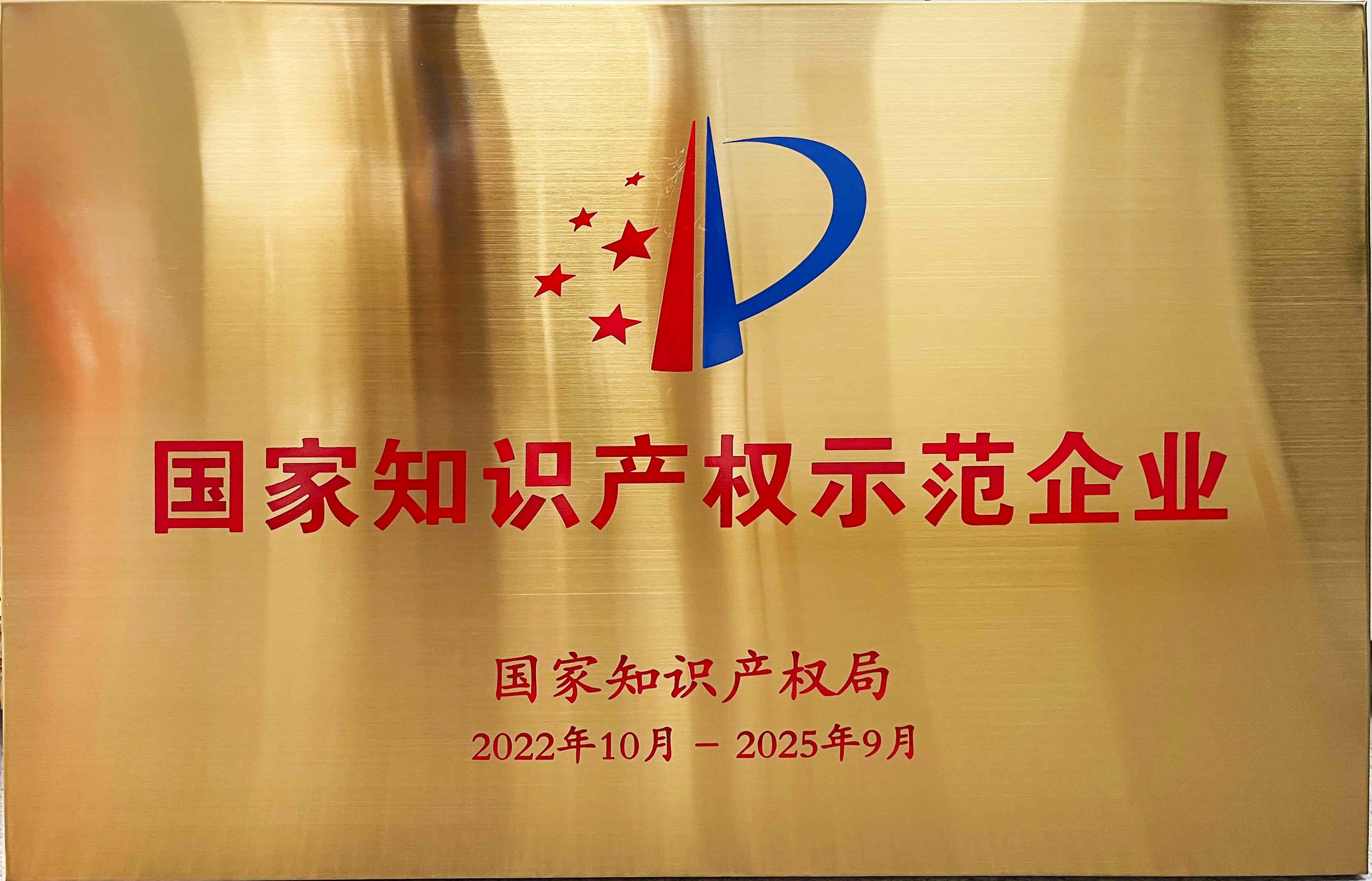 National Intellectual Property Demonstration Enterprise (HLT)