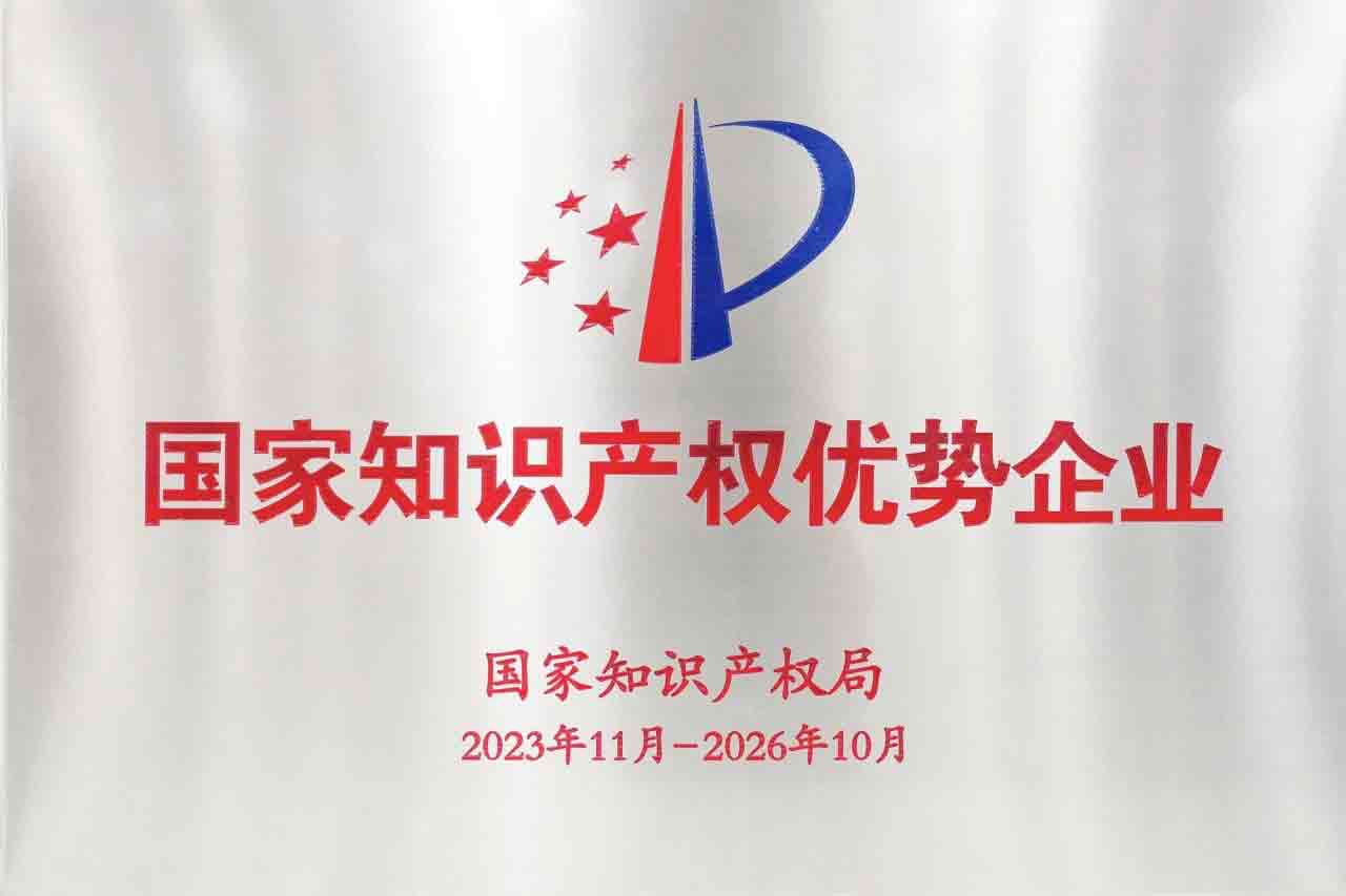 National Intellectual Property Advantage Enterprise (DLT)