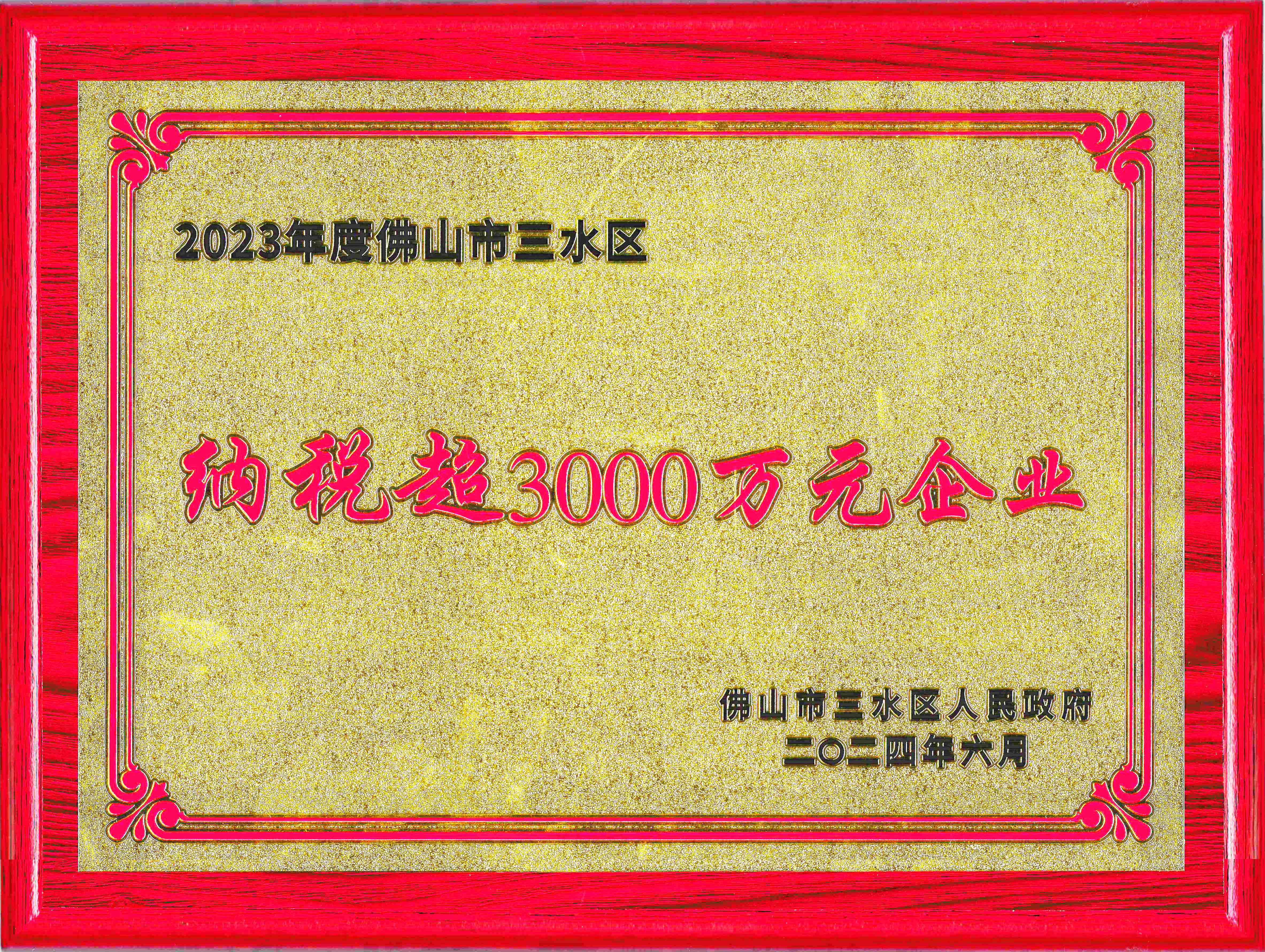 Enterprise with Tax Payment Exceeding 30 Million RMB (DLT)